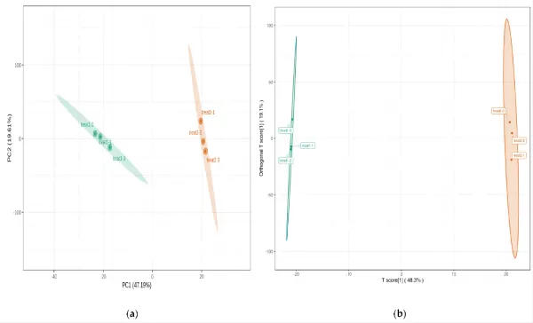 Figure 3. (a) Principal component (PC) biplot and (b) orthogonal partial least squares discriminant plot for the chile pepper cultivars.